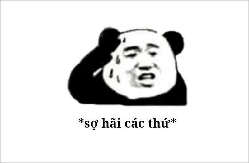 Meme Sợ Hãi Các Thứ: Tổng Hợp và Giải Mã Gallery 1