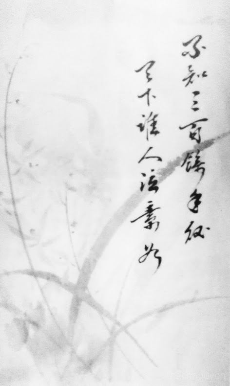 Tố Như Là Ai? Gallery 1
