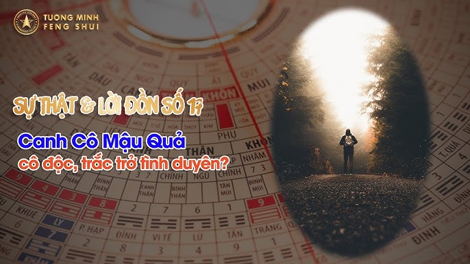 Canh Biến Vi Cô Là Gì? Gallery 1