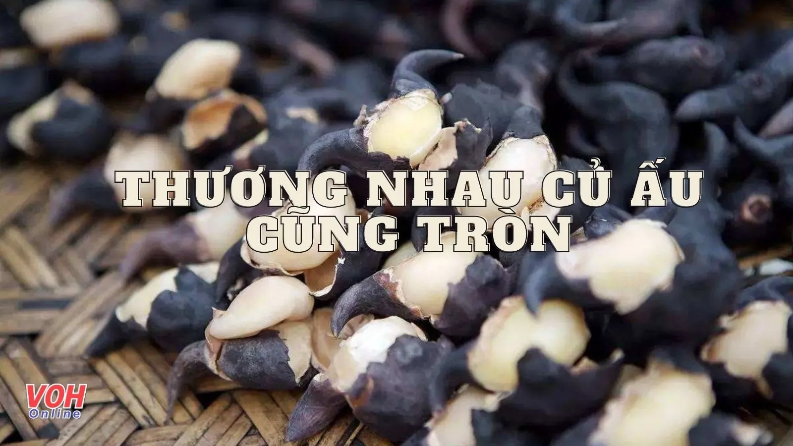 Thương Nhau Trái Ấu Cũng Tròn Gallery 2