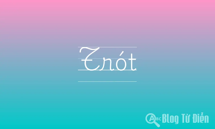 Giúp Cho Trót: Ý Nghĩa, Nguồn Gốc Và Cách Sử Dụng Gallery 2