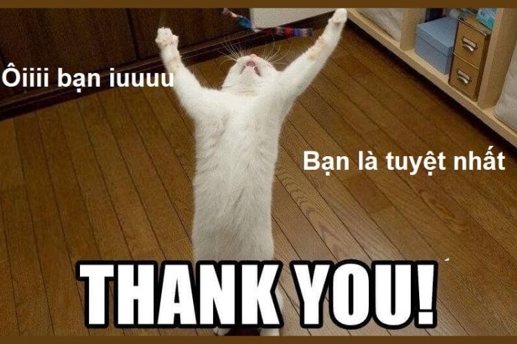 Meme Cảm Ơn: Nguồn Gốc, Ý Nghĩa Và Cách Sử Dụng Gallery 1
