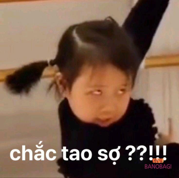 Chắc Tao Sợ Gallery 1