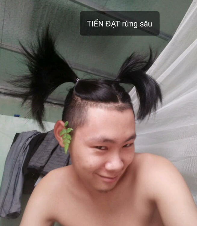Meme Tóc Hai Mái: Tổng Hợp Những Hình Ảnh Hài Hước Nhất Gallery 1