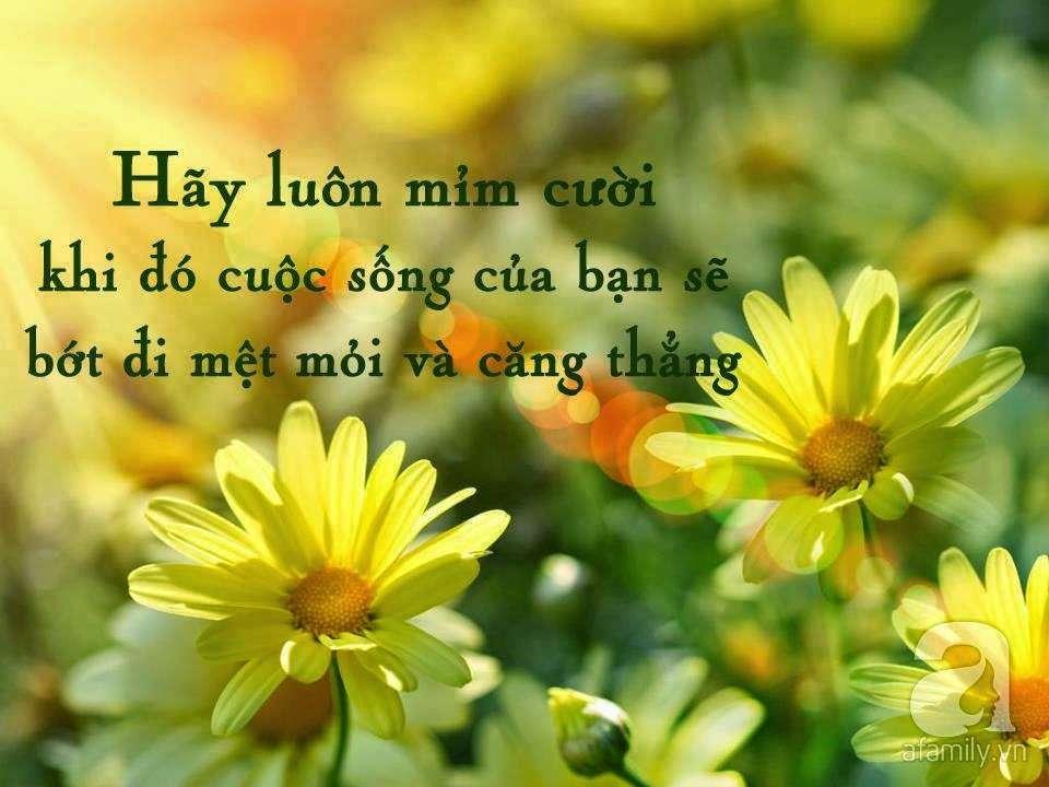 Mim Cười Là Gì? Hình Ảnh, Video Và Những Điều Thú Vị Gallery 2