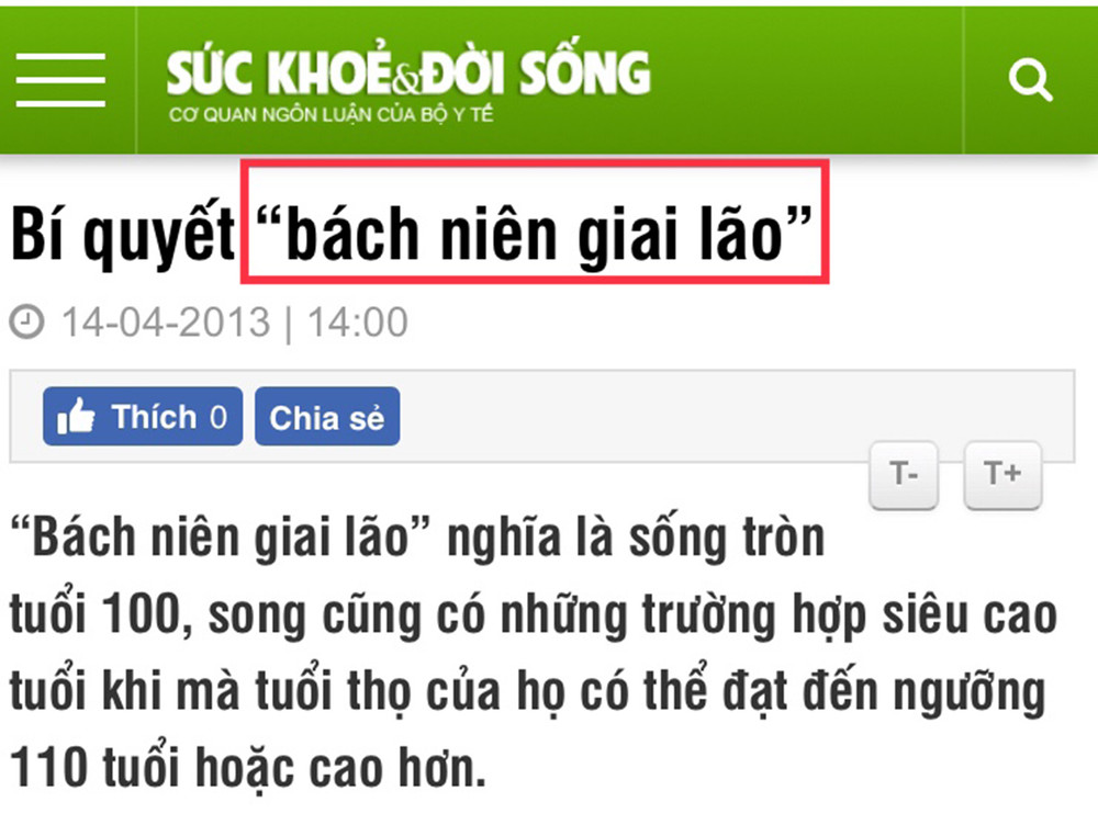 Giương Đông Kích Tây Sai Chính Tả Gallery 2