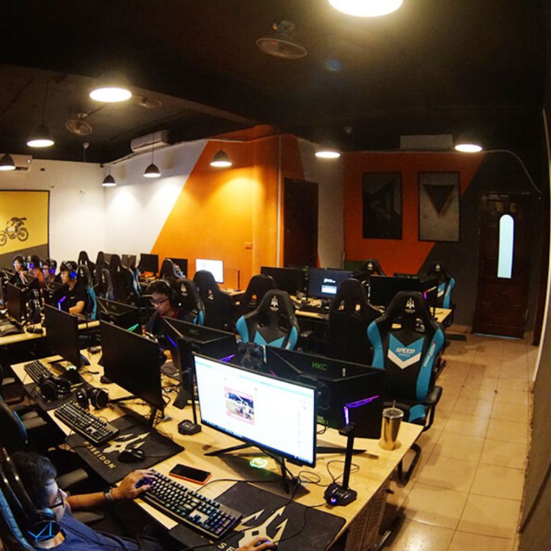 Net Cỏ Là Gì? Gallery 1