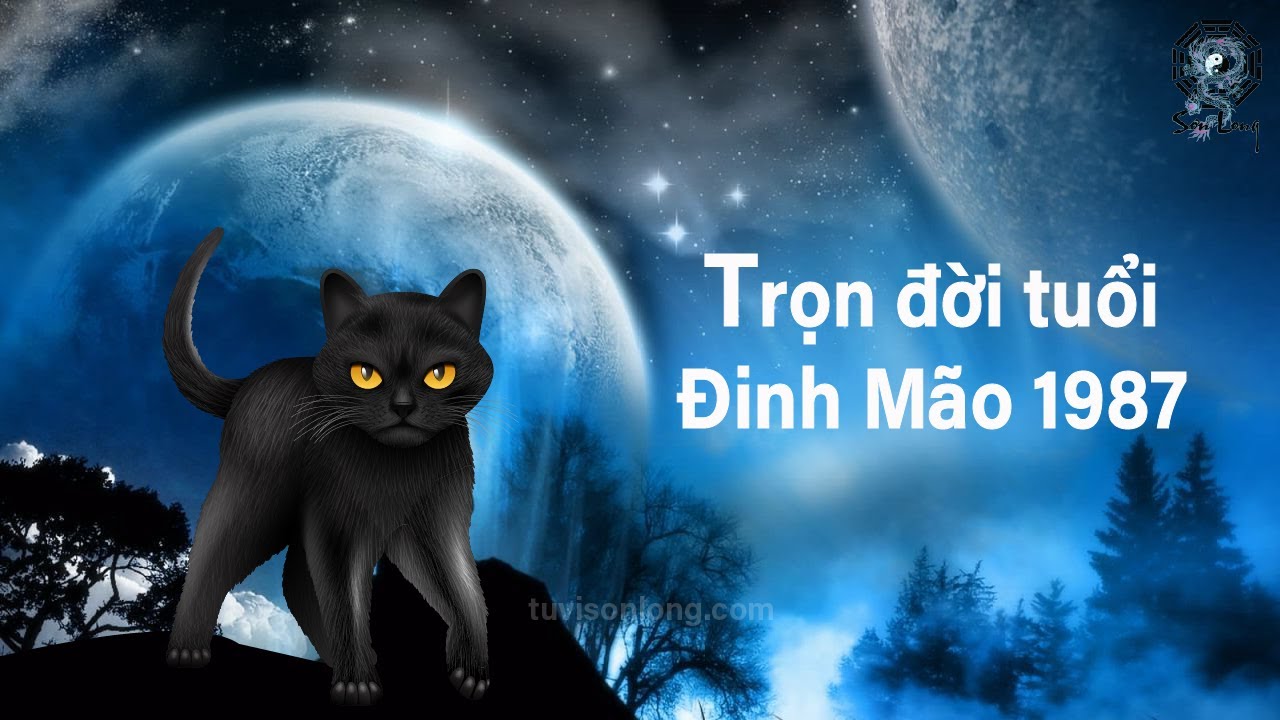 Vọng Nguyệt Chi Miêu