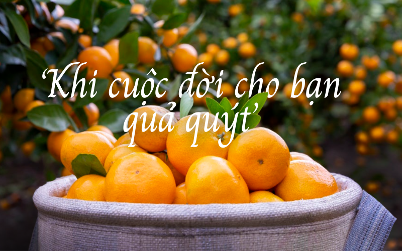 Quắn Quýt Là Gì? Nghĩa Của Từ Quắn Quýt Trong Tiếng Việt Gallery 1