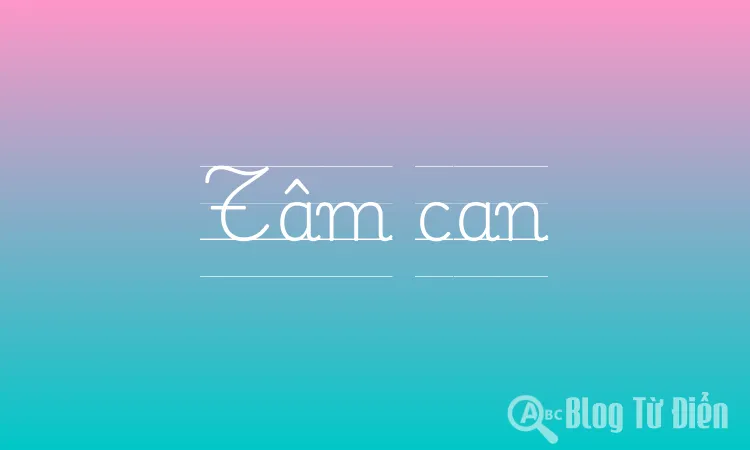 Tâm Can Là Gì? Gallery 2