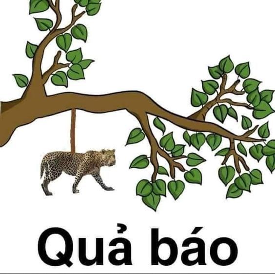 Meme Quả Báo: Tổng Hợp Những Câu Chuyện Dở Khóc Dở Cười Gallery 1