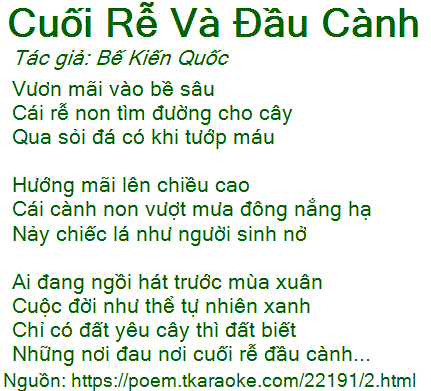 Cuối Rễ Đầu Cành Là Gì? Gallery 2