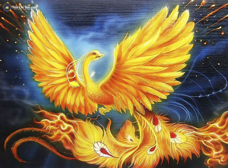 Chim Phượng Hoàng Lửa Gallery 1