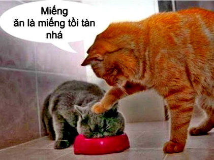 Miếng Ăn Là Miếng Tồi Tàn Gallery 1