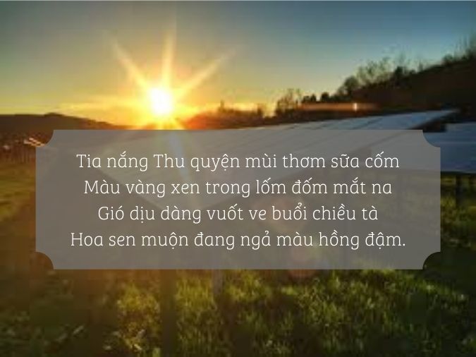 Dưới ánh nắng sương lung linh triệu cành hồng Gallery 1