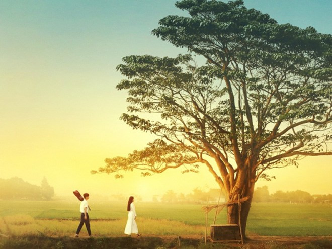 Cây Cô Đơn Mắt Biếc Gallery 1