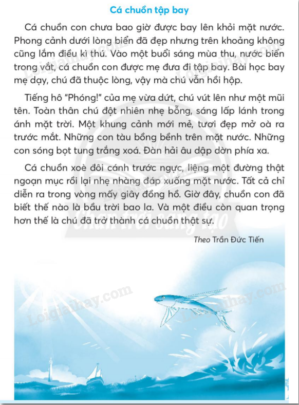 Bữa Tiệc Ba Mươi Sáu Món Gallery 1