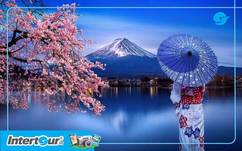 Sứ sở là gì? Khám phá thế giới huyền diệu của sứ Gallery 1
