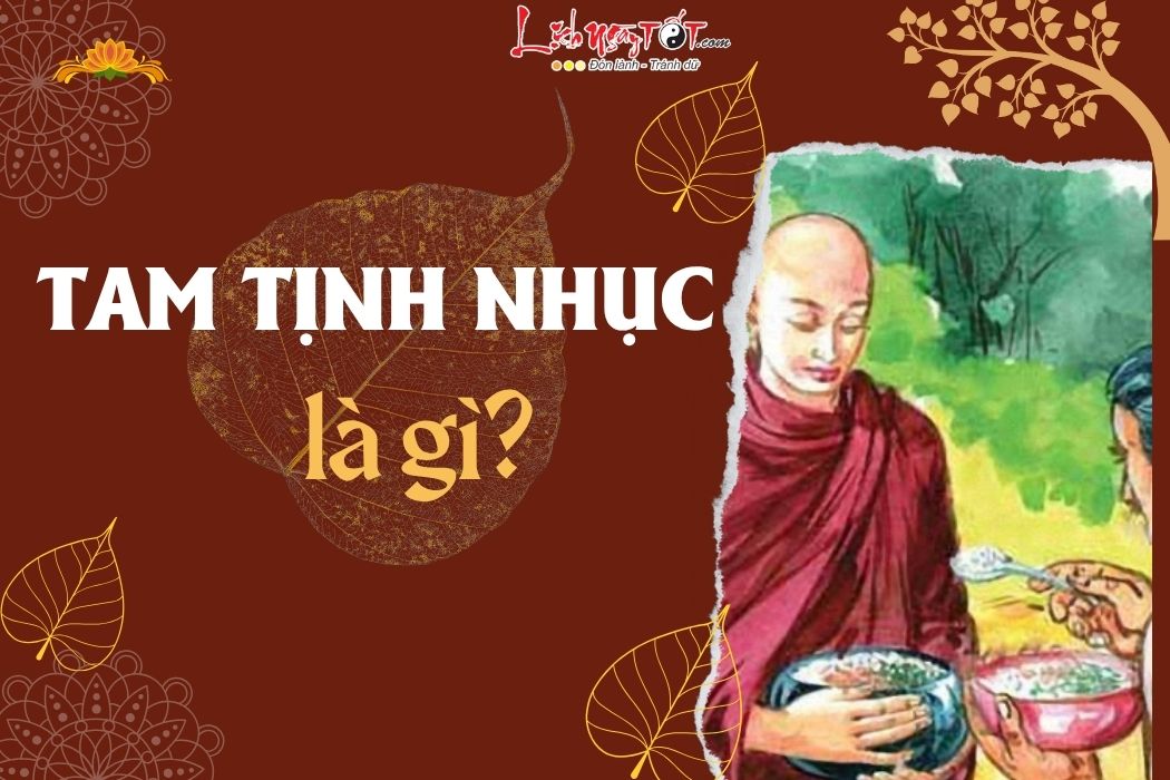 Tam Tịnh Nhục Nghĩa Là Gì? Gallery 1