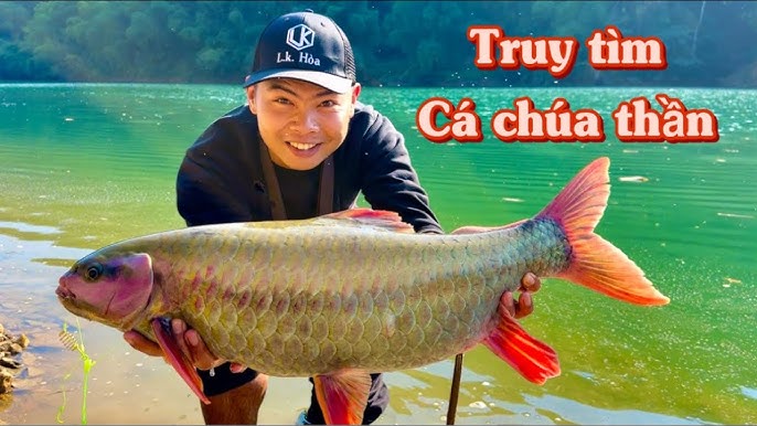 Thần Chú Câu Cá: Bí Quyết Câu Được Nhiều Cá Gallery 1