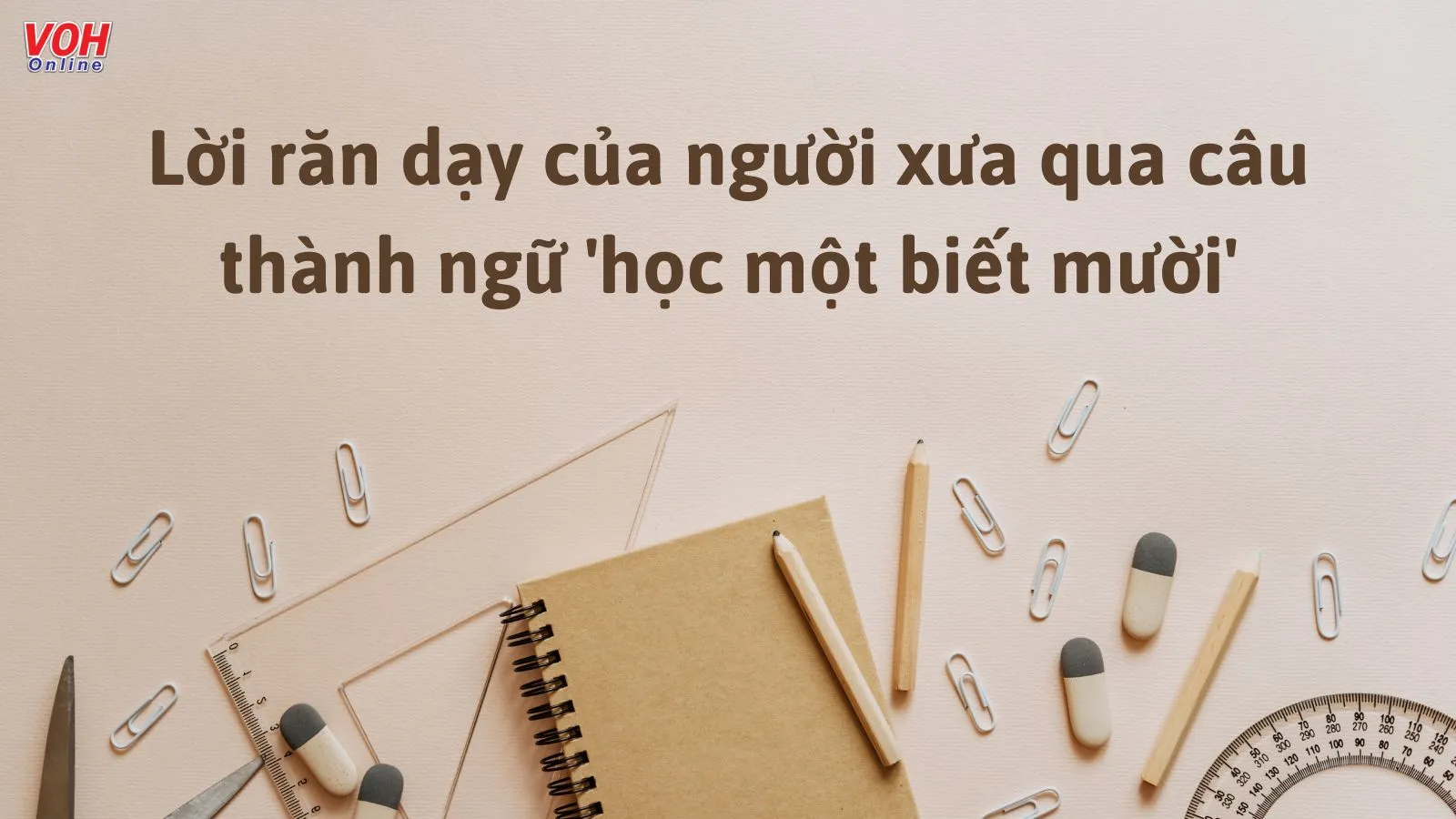 Một Chín Một Mười Là Gì? Gallery 1