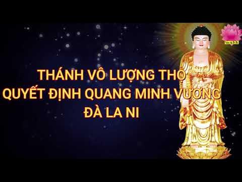 Thánh Vô Lượng Thọ Quyết Định Quang Minh Vương Đà La Ni Gallery 1