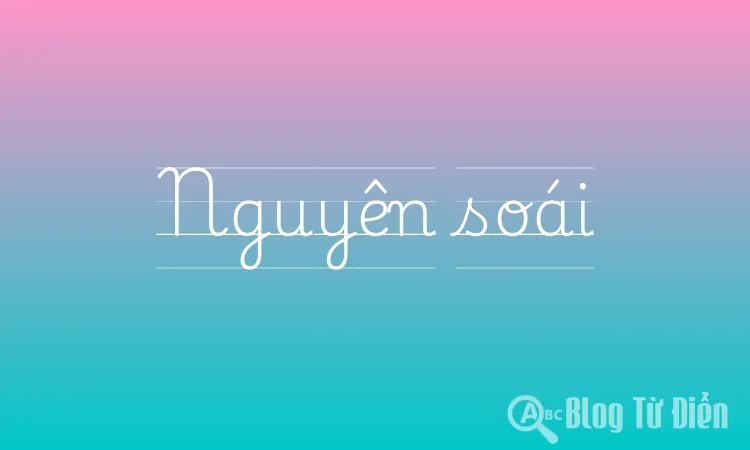 Nguyên Soái Là Gì? Gallery 1