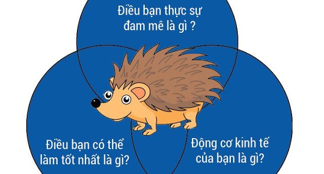 Thuyết Con Nhím Là Gì? Gallery 1