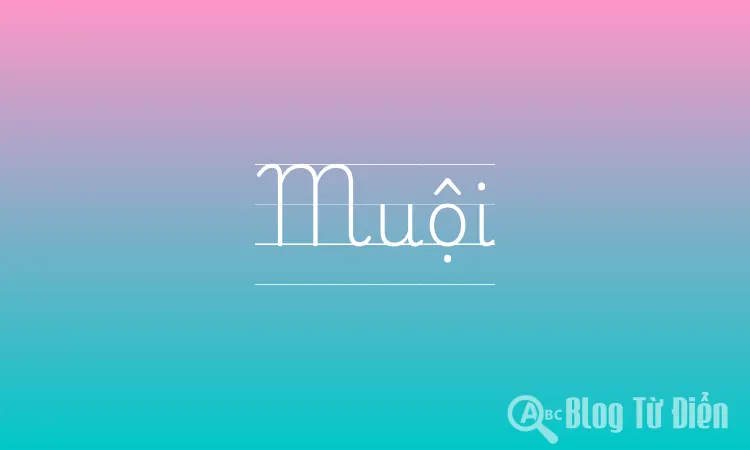 Muội Muội Là Gì? Gallery 1