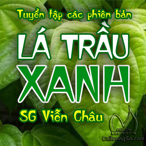 Vọng Cổ Lá Trầu Xanh Gallery 1