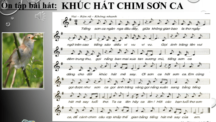 Khúc Hát Chim Sơn Ca Gallery 1