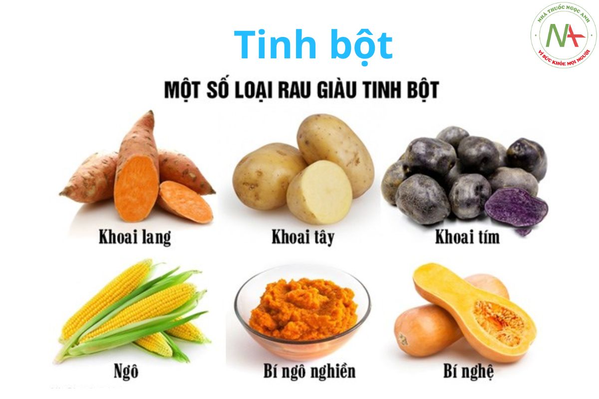 Tinh bột có ở đâu? Gallery 1