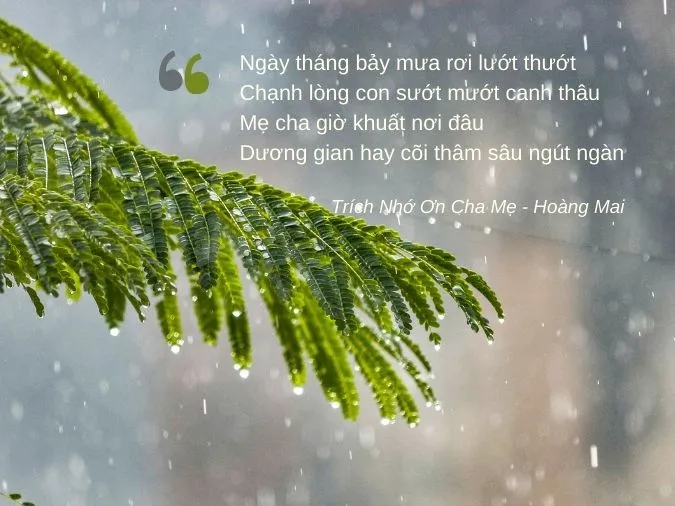 Sóng That Lúc Bắt Gallery 2