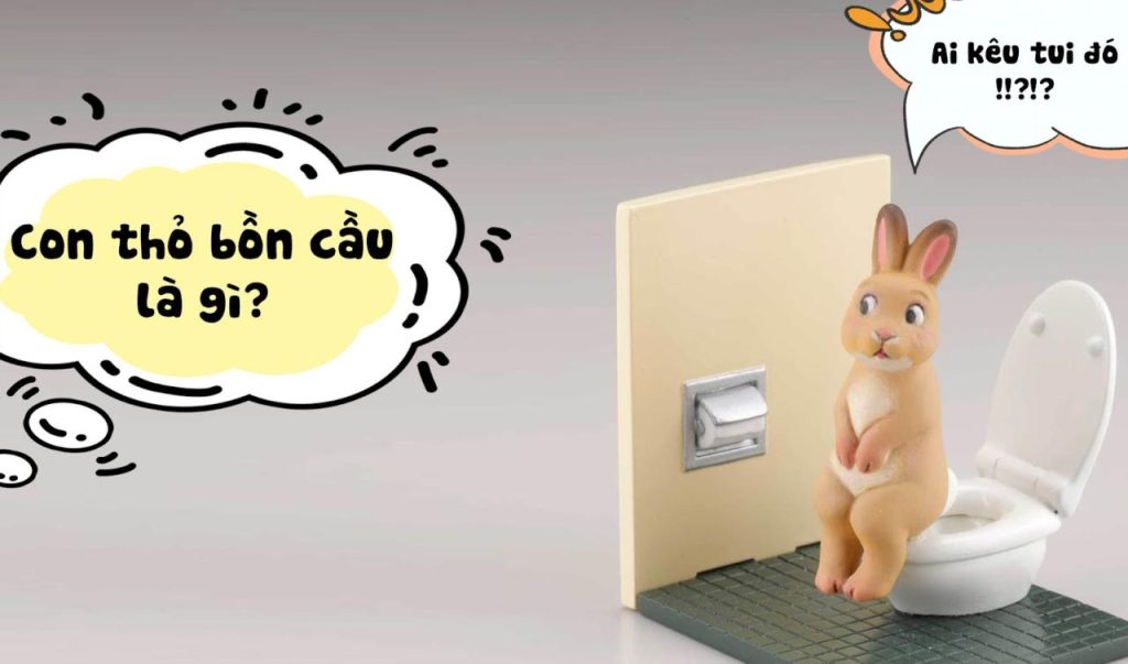Con Thỏ Bồn Cầu Là Gì? Gallery 1