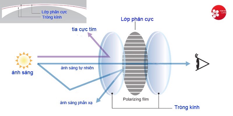 Kính phân cực là gì? Gallery 1
