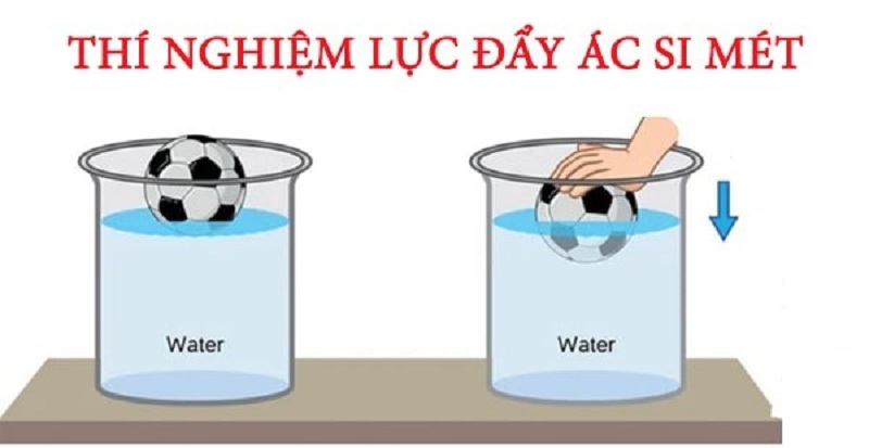 Lực đẩy Archimedes là gì? Gallery 1
