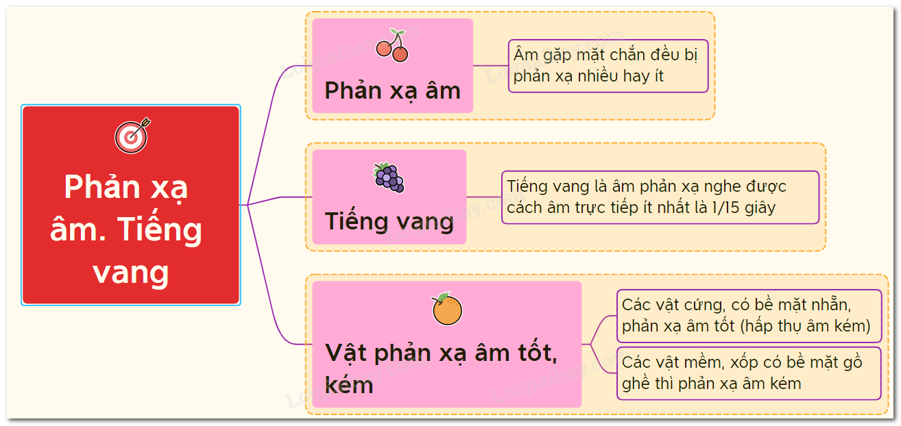 Phản xạ âm là gì? Gallery 1
