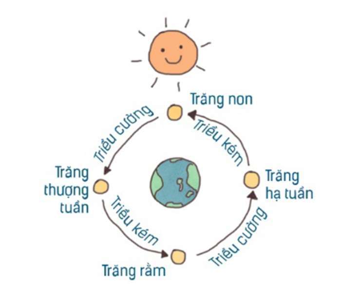 Giải thích hiện tượng thủy triều Gallery 1