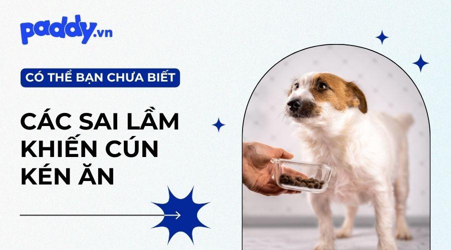 Chó con kén ăn phải làm sao? Gallery 1