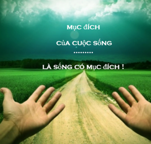 Sống Không Có Mục Tiêu Gallery 1