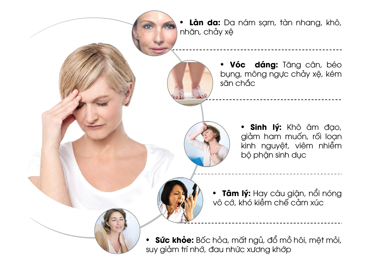 Sung sức là gì? Gallery 2