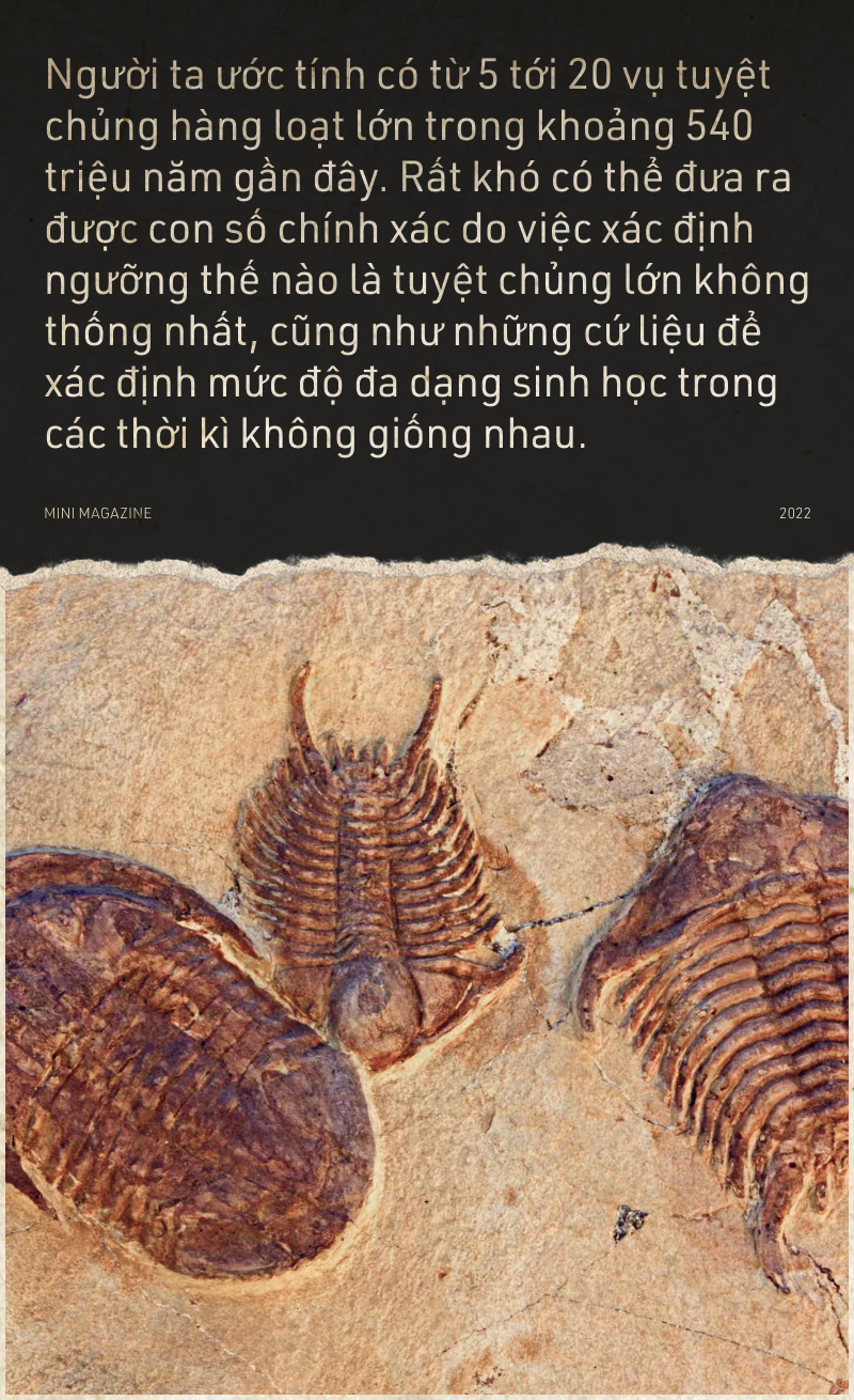 Tuyệt chủng là gì? Gallery 1