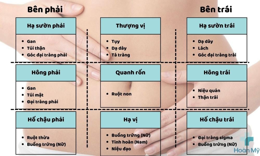 Bụng Giật Giật Bên Trái: Nguyên Nhân Và Cách Xử Lý Gallery 1