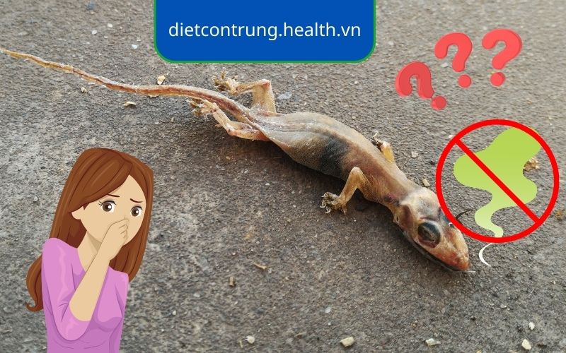 Thằn lằn cảm xúc buồn: Nguyên nhân, biểu hiện và cách giúp đỡ Gallery 2