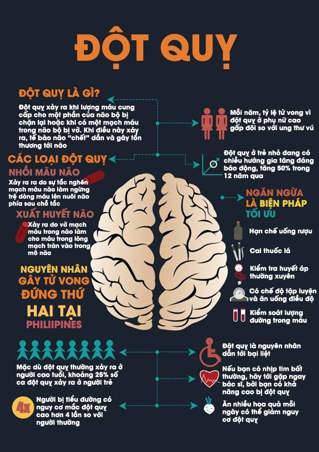 Đột Quỵ Là Gì? Triệu Chứng, Nguyên Nhân Và Cách Phòng Ngừa Gallery 2