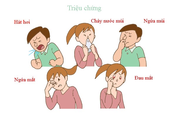 Hắt hơi, sổ mũi, chảy nước mắt: Nguyên nhân và cách điều trị Gallery 1