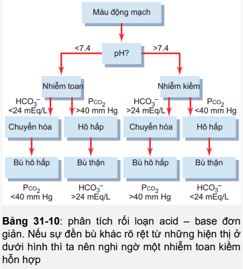 Thăng Bằng Kiềm Toan Là Gì? Gallery 2