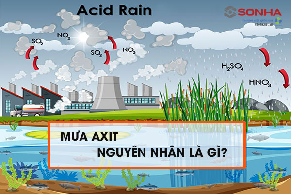 Giải thích hiện tượng mưa axit Gallery 1