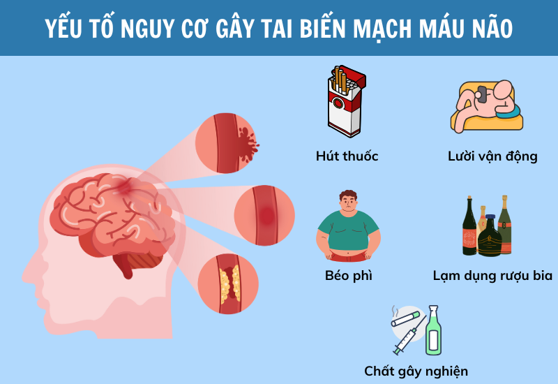 Não nề là gì? Gallery 1