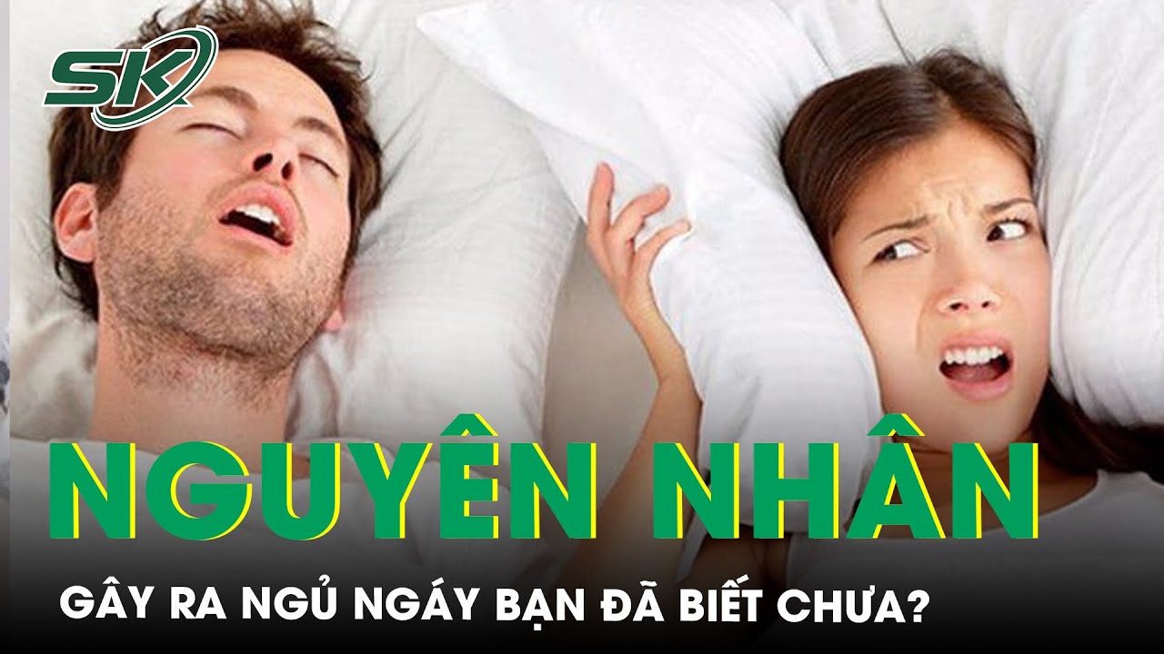 Ngủ nghê là gì? Gallery 1